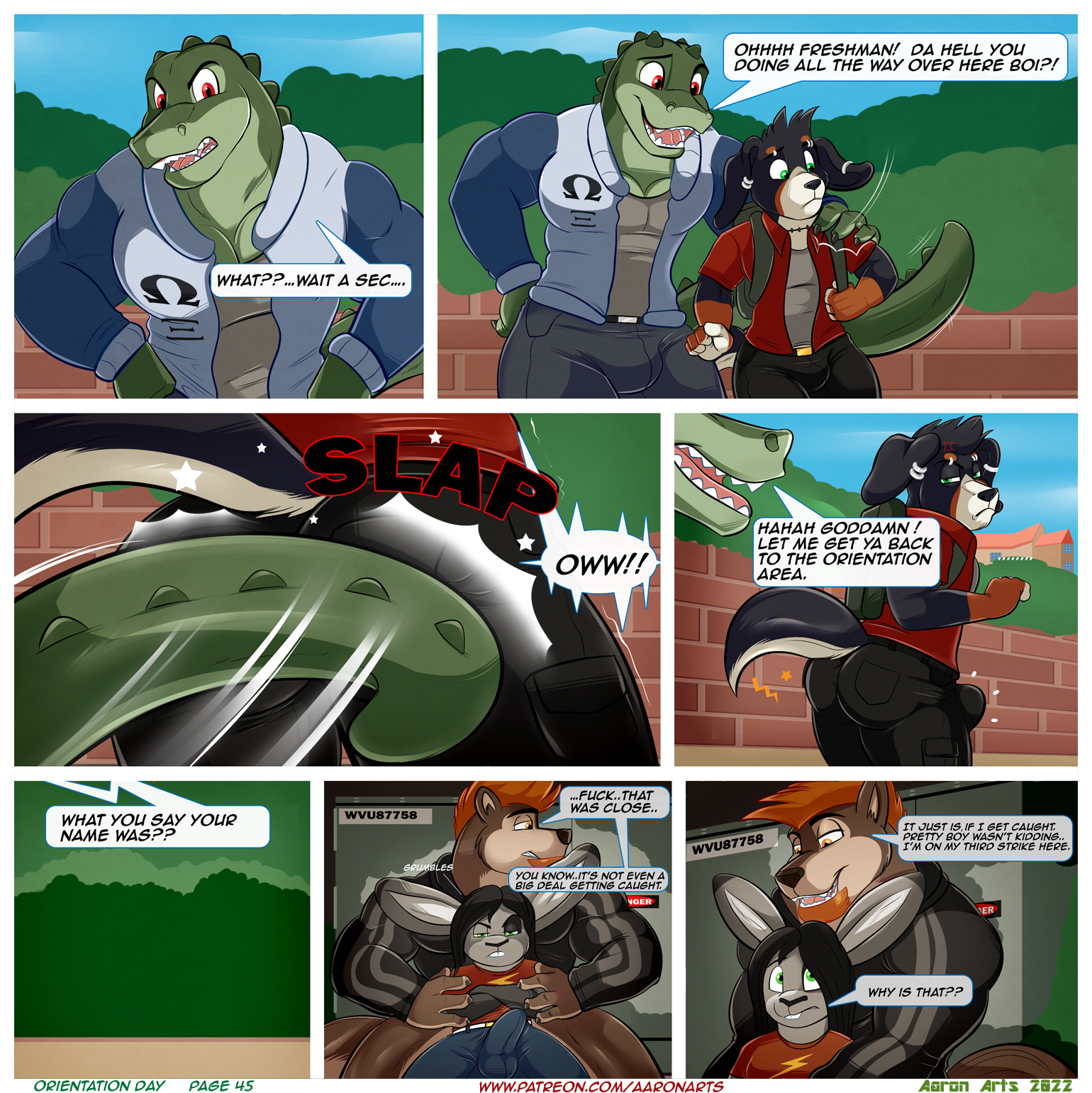Page 45